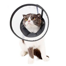 고양이에어로켓