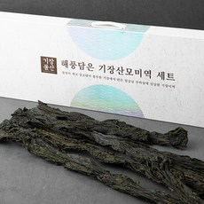 기장물산 품질인증 해풍담은 기장산모미역, 300g, 1개