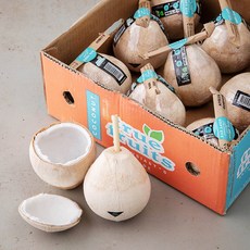 만나 영 Ready to drink 코코넛, 4.5kg, 1박스