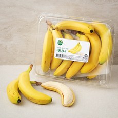 만나 멕시코 바나나, 2kg, 1팩