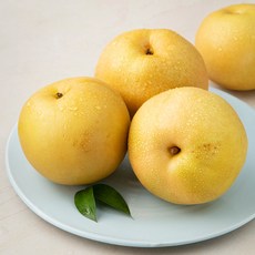 경북 농협 명실상주 원황 배, 2kg(3~5입), 1개