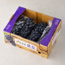 가족가베