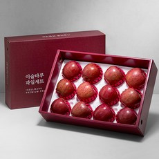 저탄소 인증 사과선물세트 1호, 1세트