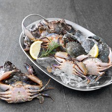 살맛나요 생물 국산 게장담기 좋은 속이 꽉찬 돌게 박하지 8~15미 (냉장), 1kg, 1박스
