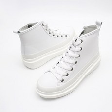 마이애미프로젝트워커