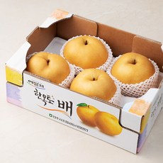 예담채 한옥토 전주 배 4~7입, 3kg