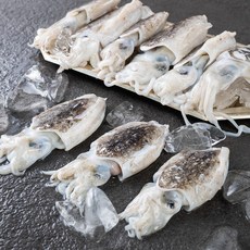 바다림 서해안 산지직송 생물 갑오징어 (냉장), 1kg(4~8미), 1개