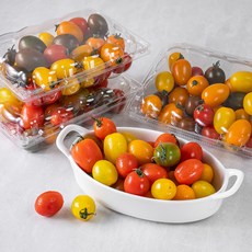 아주마 하루한팩 삼색 대추컬러방울토마토, 500g, 4팩