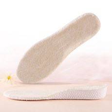 스트라이브인솔