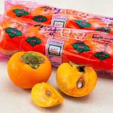 하이프루츠 저탄소 인증 부유단감 특대과 5입 x 2줄, 2.7kg, 1개