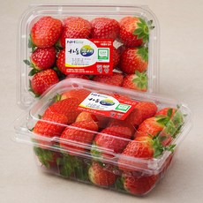 산지직송 하동품애 GAP 설향딸기(특), 500g, 2개
