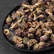 남해안 산지직송 자연산 맵싸리 대숙 고둥 (냉장), 1.5kg, 1개
