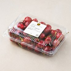 엠팍 칠레산 체리, 600g, 1개