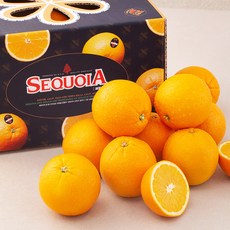 세콰이어 오렌지 19입, 4.4kg(대과), 1개