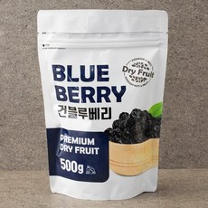 산들 건블루베리, 500g, 1개
