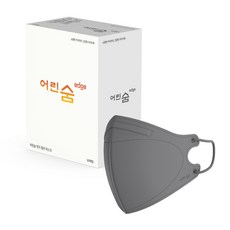 라숨소형