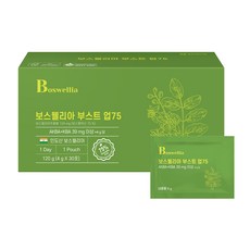 온유바이오 보스웰리아 부스트 업75 30p, 120g, 1개