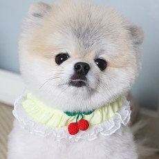 에이미러브즈펫 강아지 고양이 앵두 케이프, 옐로우, 1개