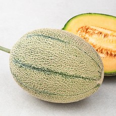에스엠지푸드 국내산 저탄소 인증 진천 칸탈로프 메론, 1.6kg, 1개