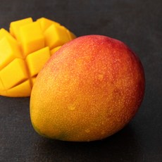 좋은하루 제주는 애플망고지, 300g(중과), 1개