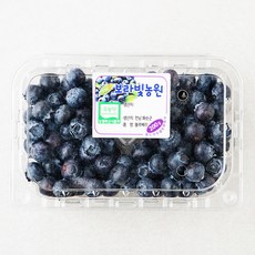 화순 무농약 인증 블루베리, 200g, 1팩