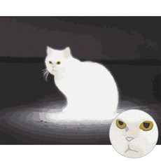 고양이diy