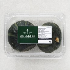 제주애농부 미니단호박, 1개, 600g(2입)