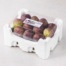 과일진 영암 무화과, 1개, 1.5kg