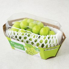 해바른 김천 샤인머스켓포도, 600g, 1개