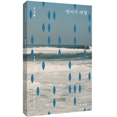 안윤