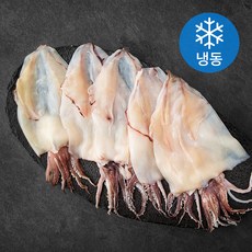 쫄깃 반건 한치 5미 (냉동), 600g, 1개
