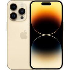['Apple 정품 아이폰 14 Pro Max 자급제', '골드', '1TB']