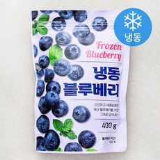 블루베리 (냉동), 400g, 1개