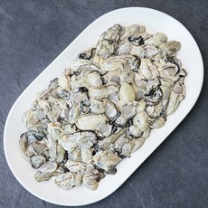 갯마을 국내산 김장용 생굴 (냉장), 3kg, 1개