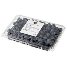 엠팍 칠레산 생블루베리, 310g, 1개