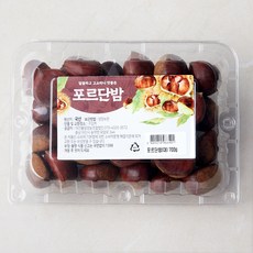 아산율림 포르단밤 대, 700g, 1개