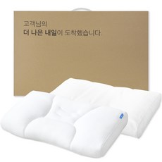 에르고바디 슬리픽 기능성 클라우드폼 경추 베개 + 코튼 커버 세트