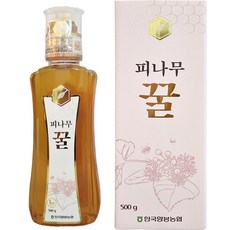 한국양봉농협 피나무 꿀, 500g, 1개