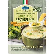 추천5브로콜리스프