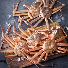 해선생 살아있는 제철 구룡포 대게, 2kg(5미), 1개