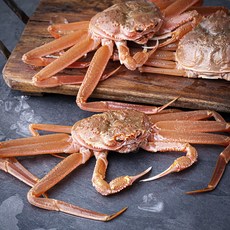 해선생 살아있는 제철 구룡포 대게, 1.2kg(3미), 1개