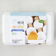 자연애찬 무항생제 인증 백색 대란, 15구, 1개 1개, 780g