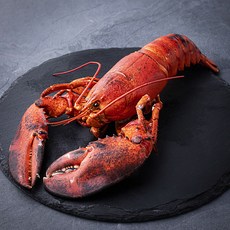 아라보감 산지직송 어제 찐 자숙 랍스타 (냉장), 650g, 1개