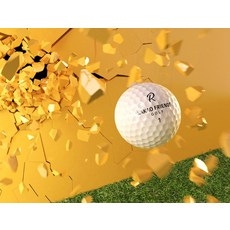 카카오프렌즈 골프 R3 프렌즈에디션 3피스 12p, 화이트, 12개입, 1세트