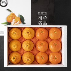 귤탐 만감류 레드 6p + 한라 6p 세트, 1세트, 3kg