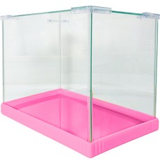 아쿠아테라 콘페티 컬러엣지 수조 어항 + 유리 커버, 핑크, 1개