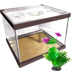 Rora Pet Vivid七彩魚缸+壓克力罩+仿真花套組, 摩登（魚缸），隨機發貨（和諧）