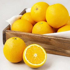 다조은 캘리포니아 고당도 네이블 오렌지, 1.2kg, 1팩