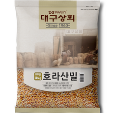 대구상회 호주산 호라산밀, 4kg, 1개