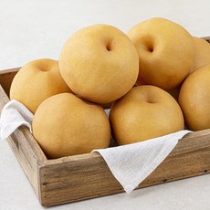 다조은 새벽경매 신고배 11~13입, 7.5kg, 1개